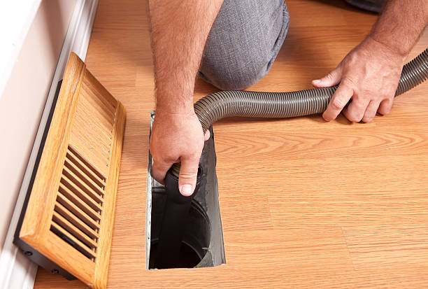 Air Duct Mold Removal in Williamstown, PA